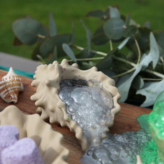 Seashell Dishes