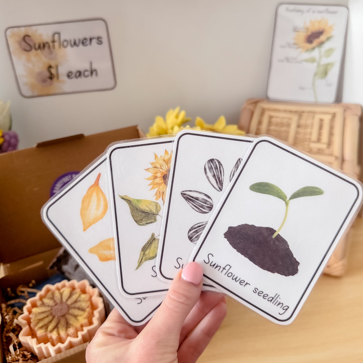 Sunflower Potion Kit