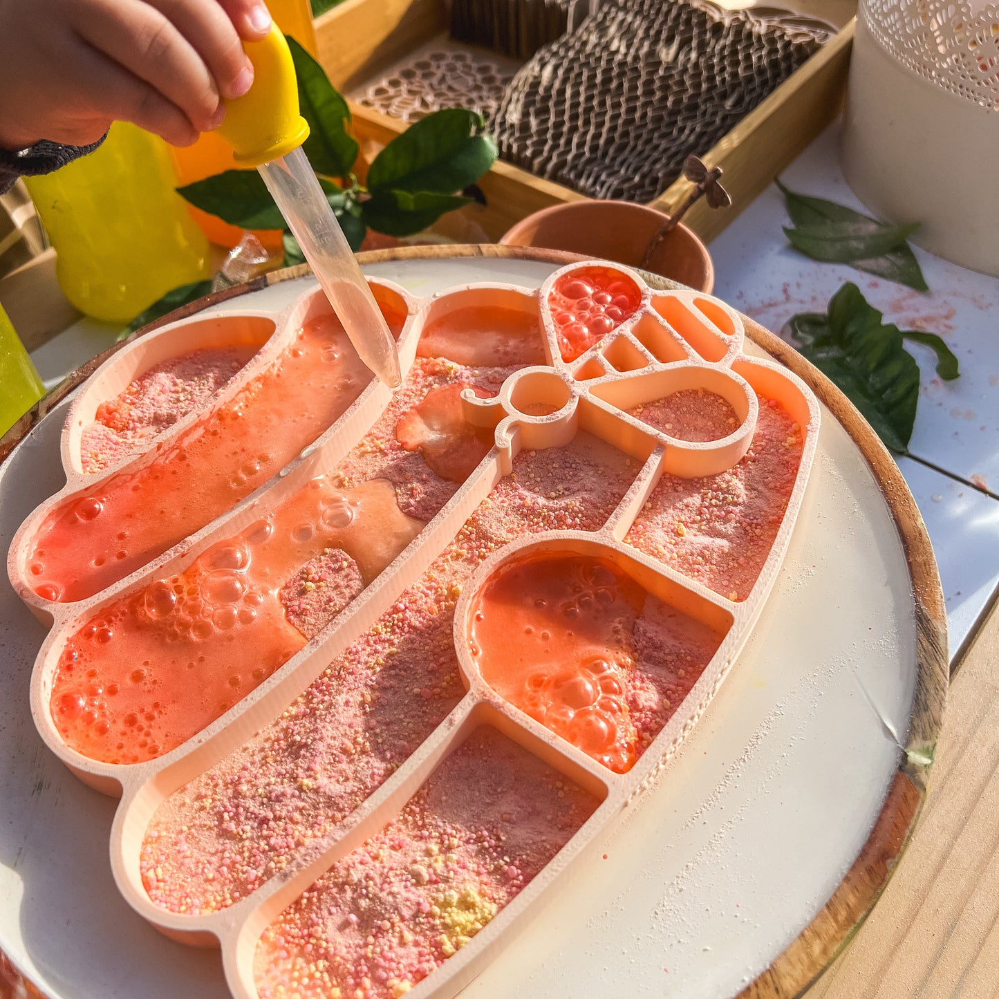 Honey Hive & Bee Tray