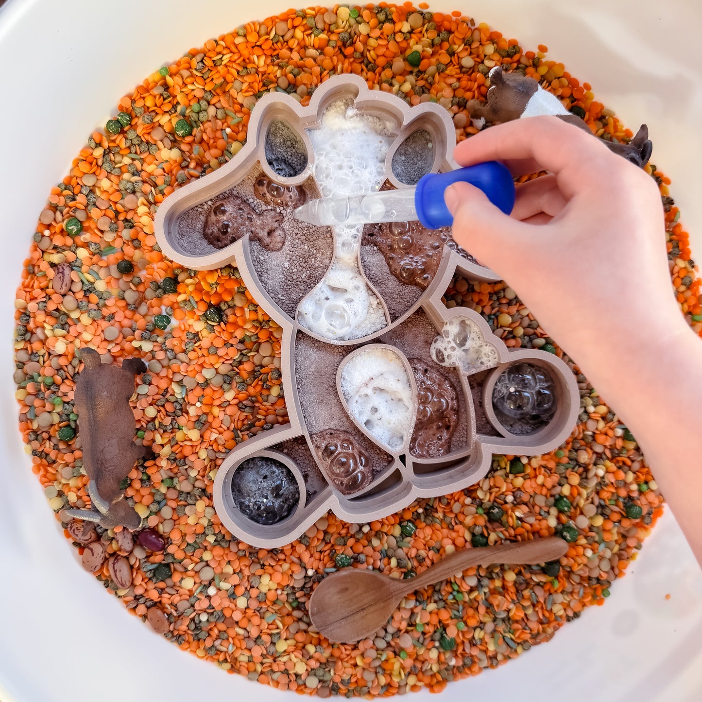 Baby Billy Goat Tray