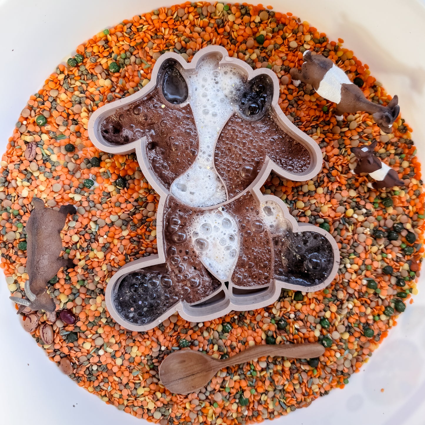 Baby Billy Goat Tray