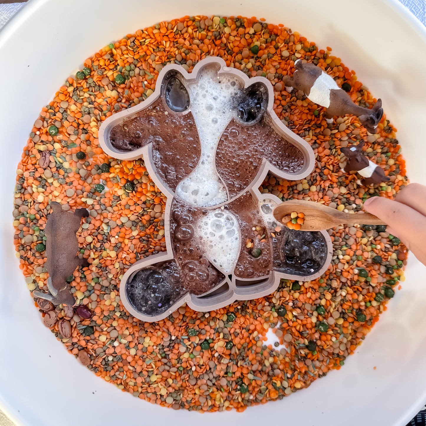 Baby Billy Goat Tray