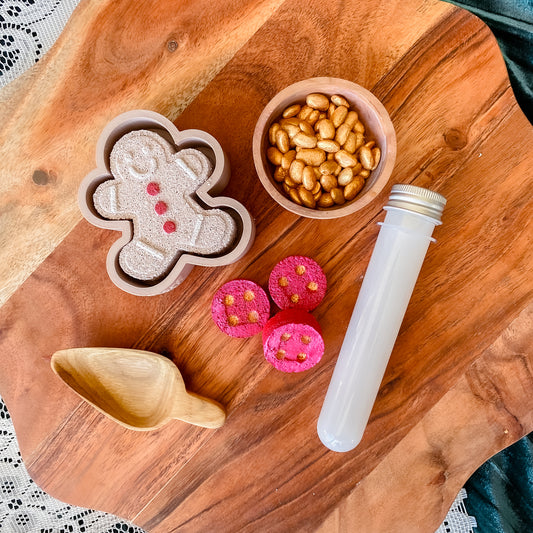 Gingerbread Potion Kit