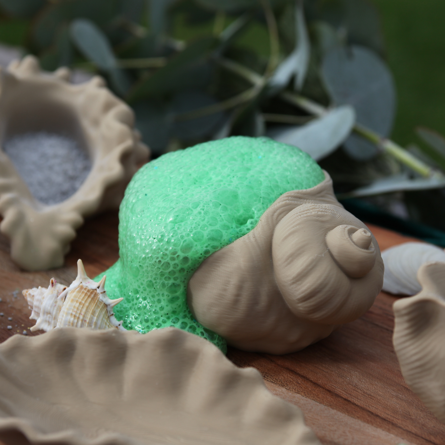 Seashell Dishes