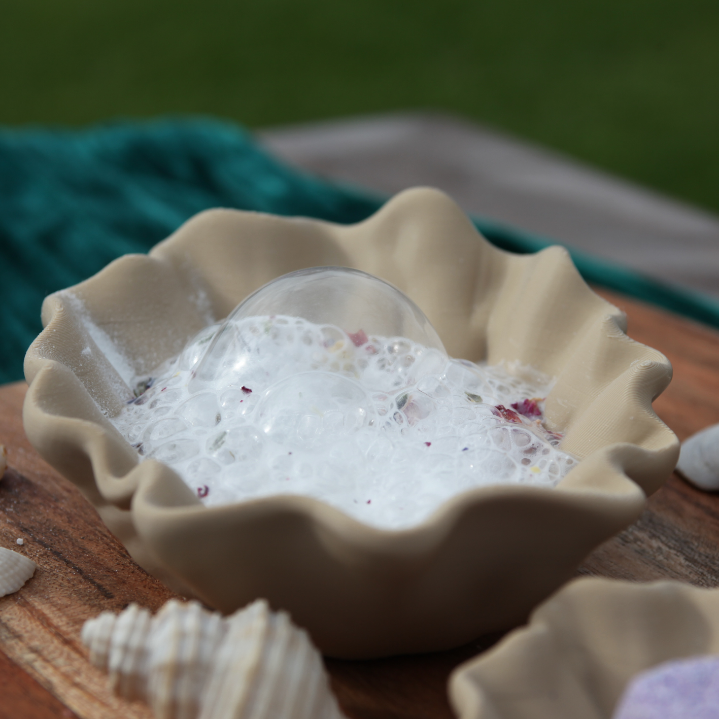 Seashell Dishes