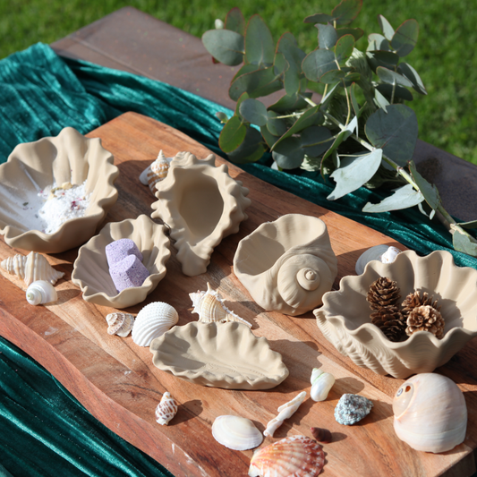 Seashell Dishes