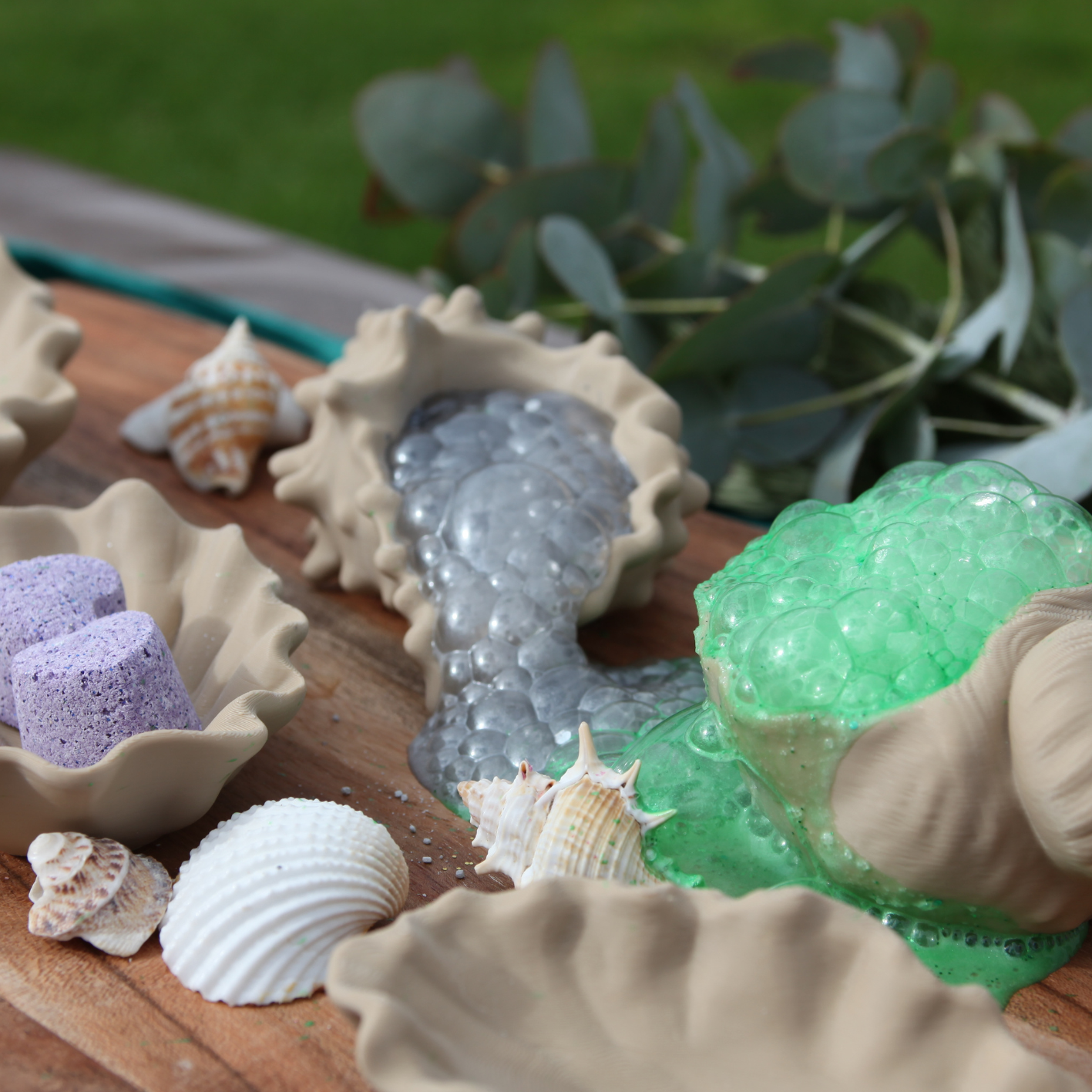 Seashell Dishes