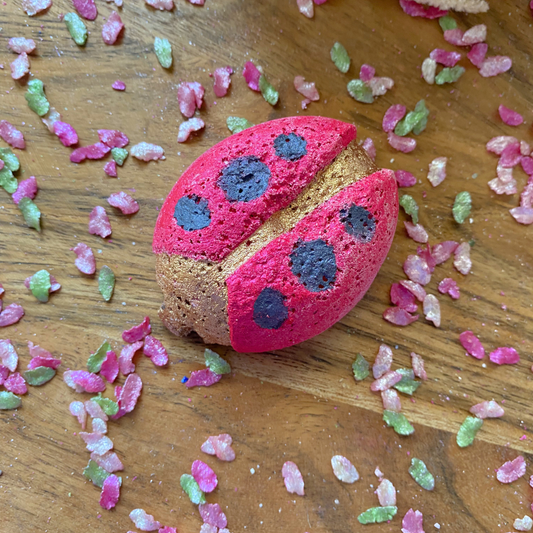 Ladybug Fizzer