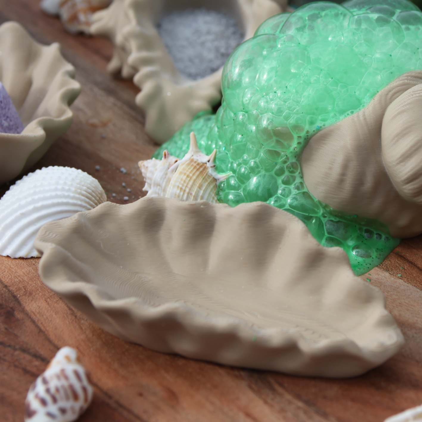 Seashell Dishes