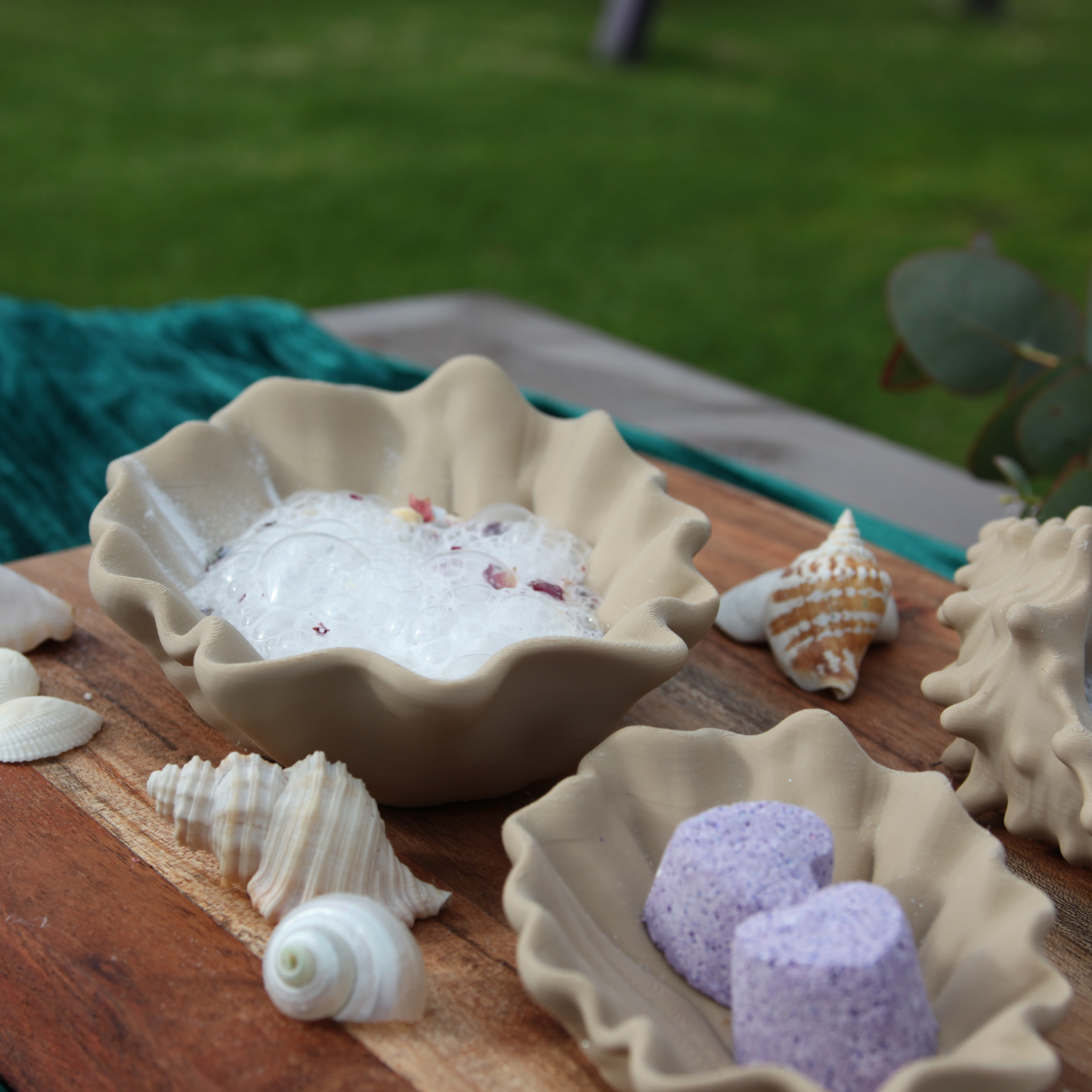 Seashell Dishes