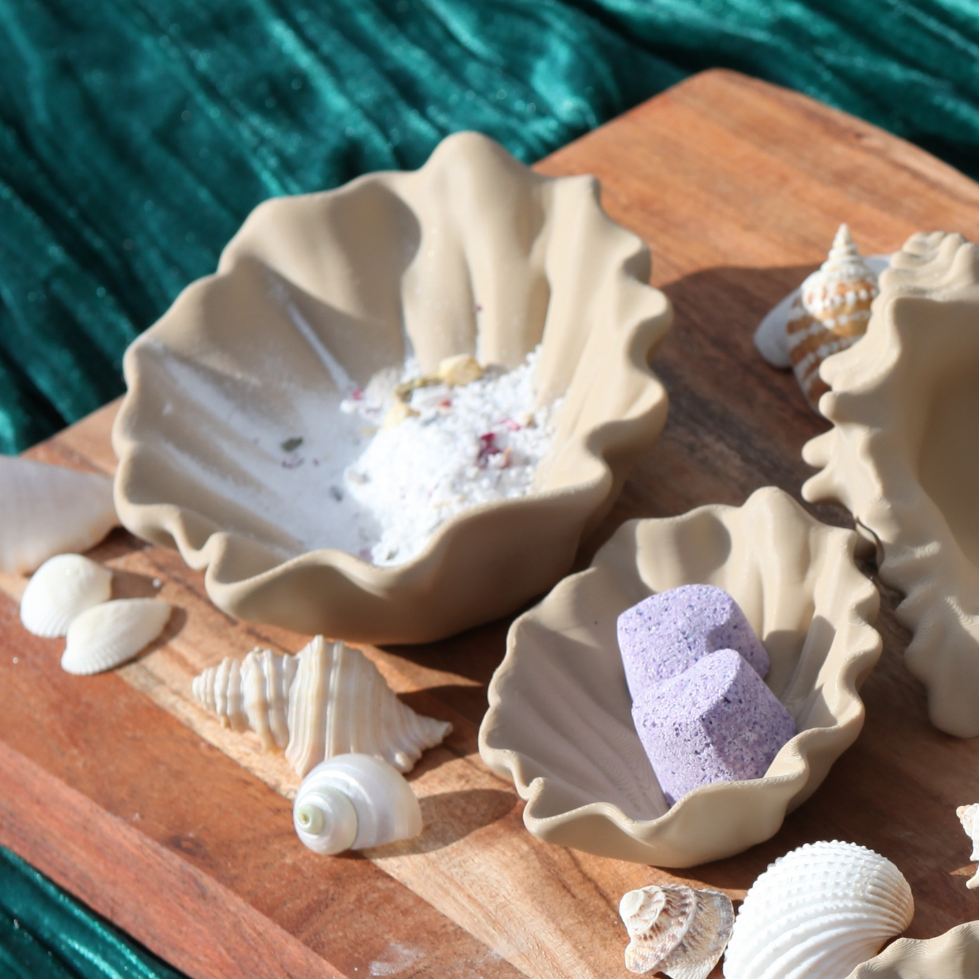 Seashell Dishes