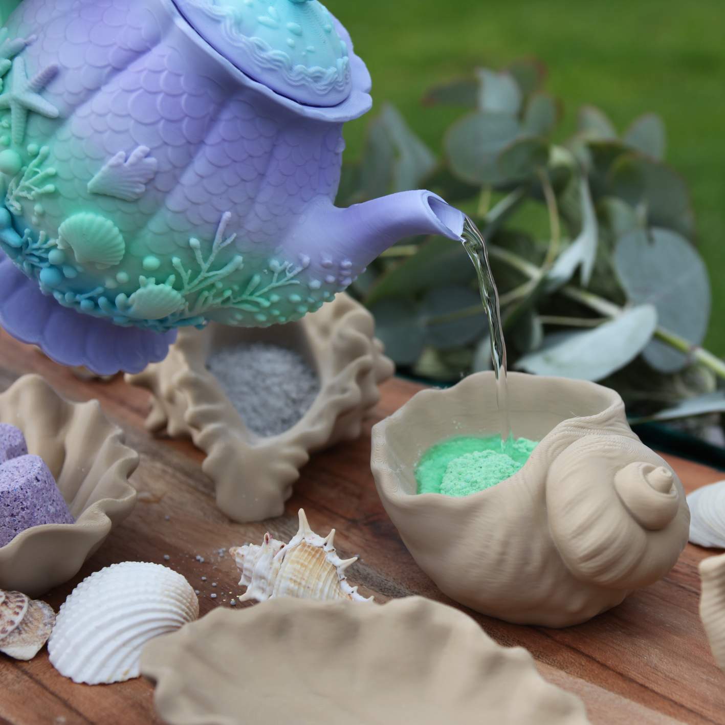 Seashell Dishes
