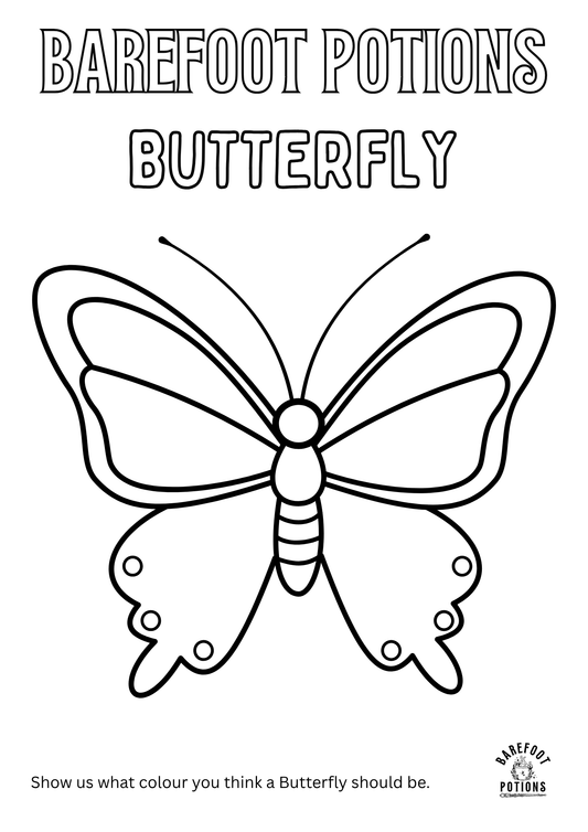 Butterfly Colouring in sheet