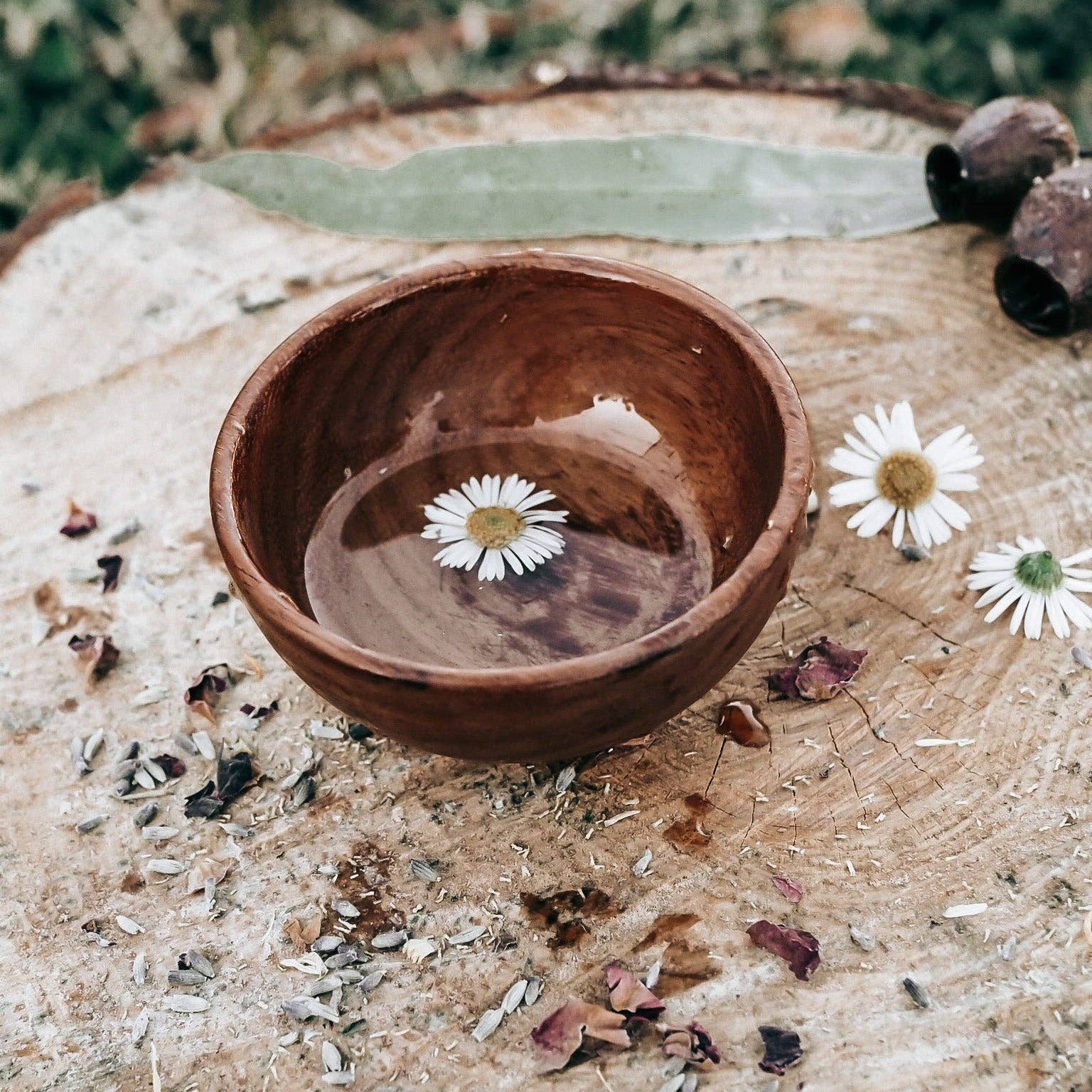 Wooden bowl with water and a flower on a natural surface with dried plants and flowers.