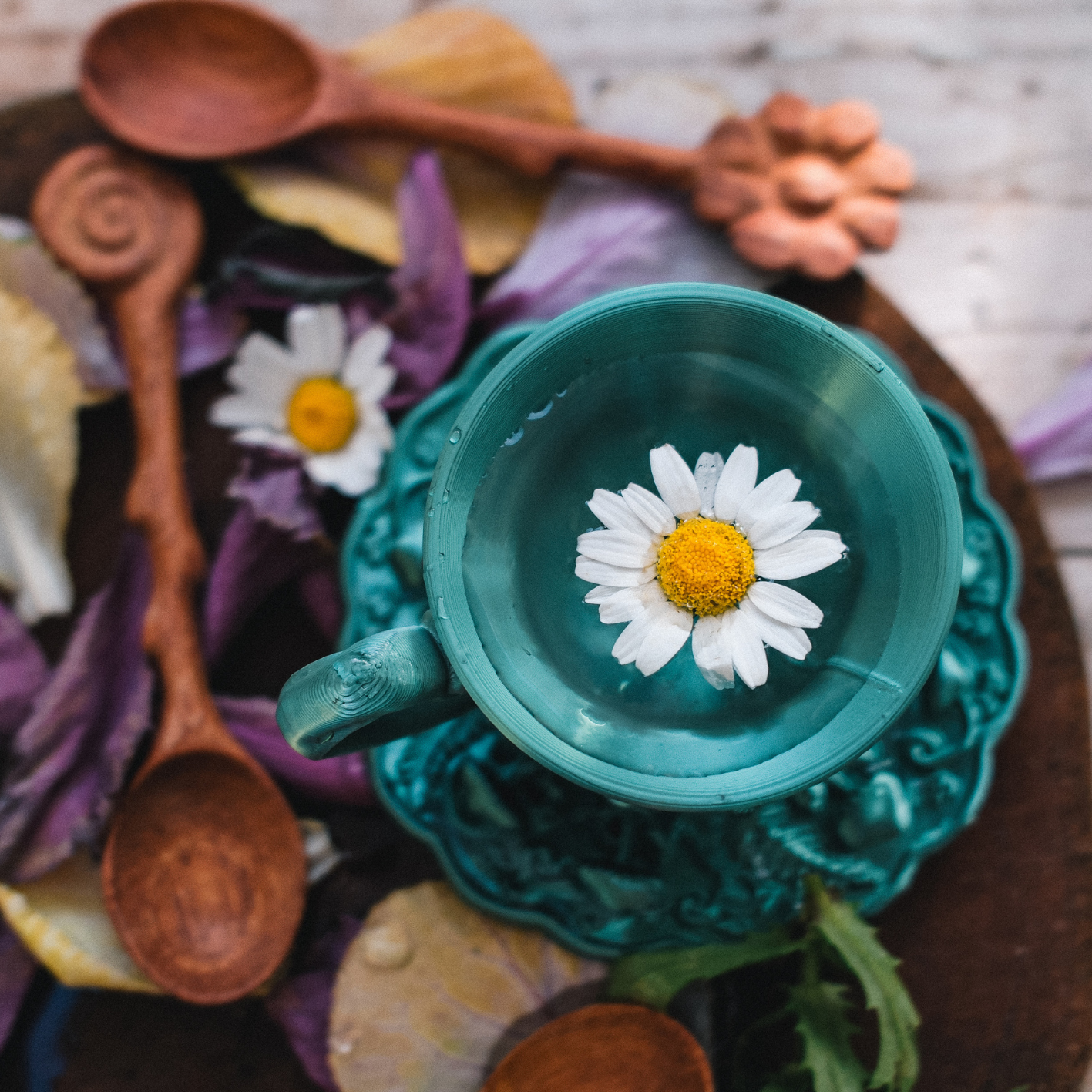 Wonderland Tea Party - Whimsy Green