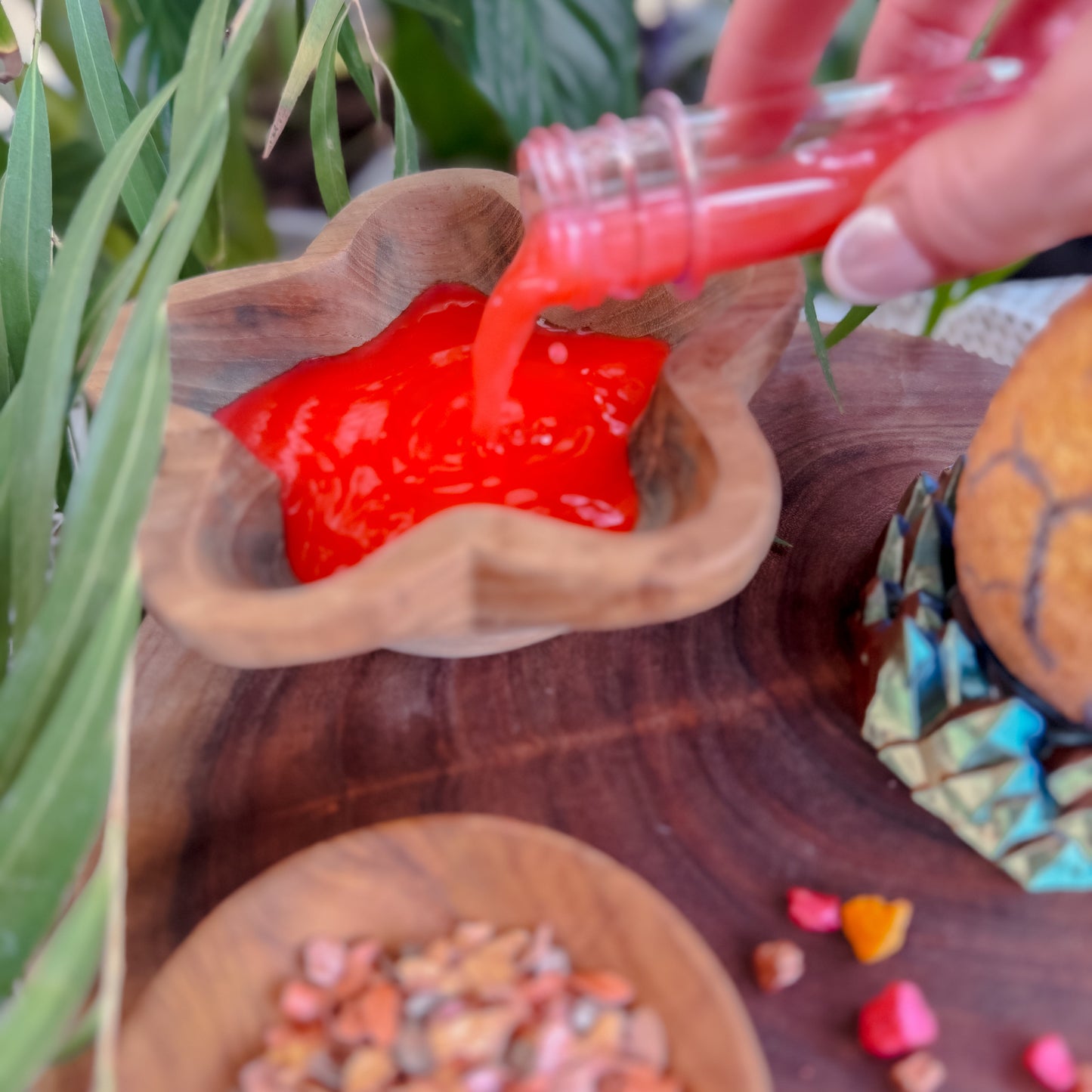Dragon Nest Potion Kit