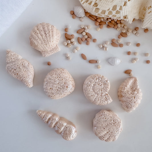 Seashell Fizzers - 7 Pack