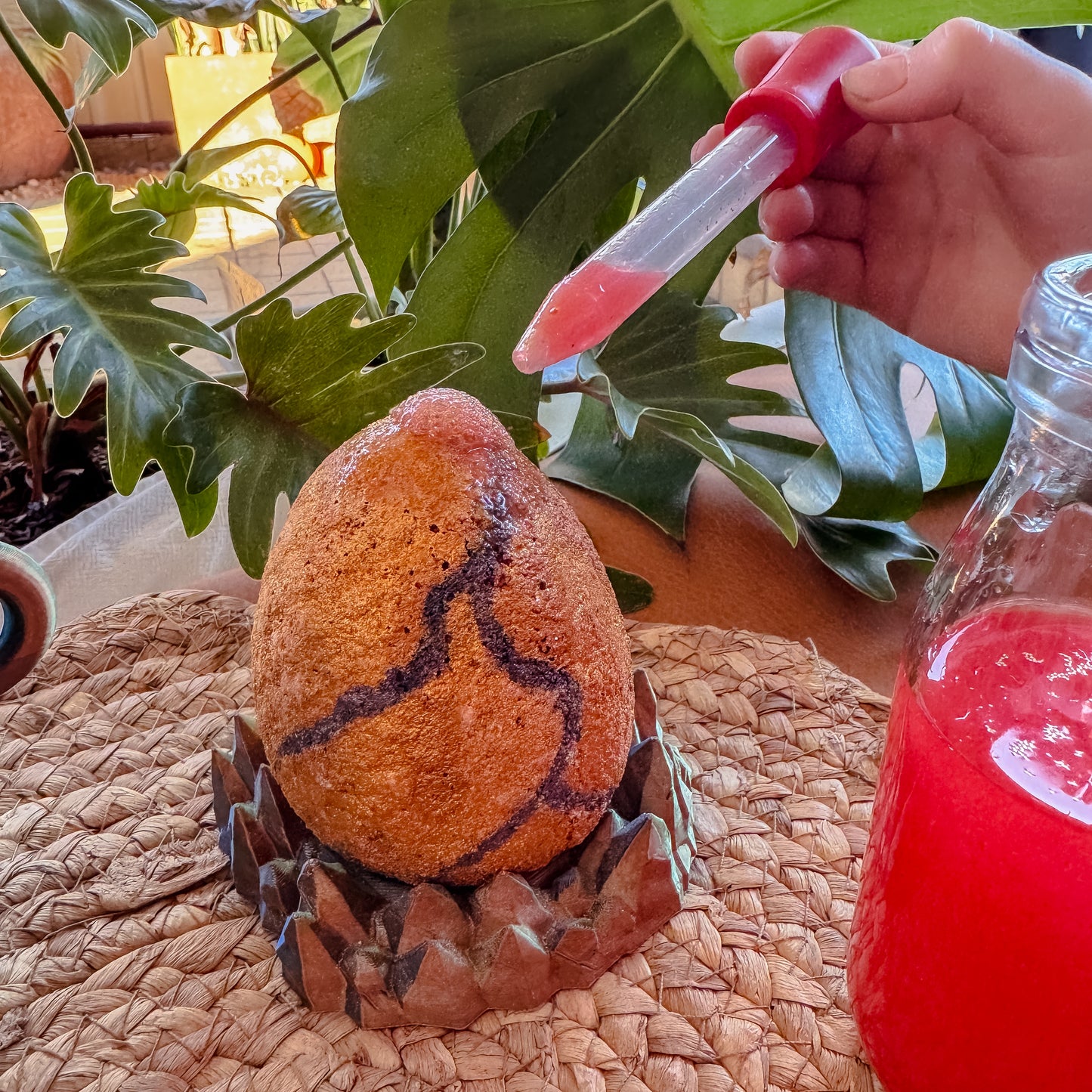 Dragon Nest Potion Kit