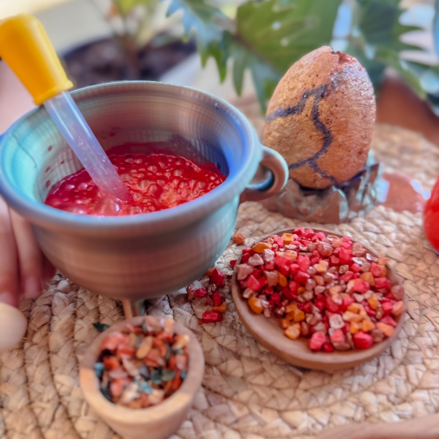 Dragon Nest Potion Kit