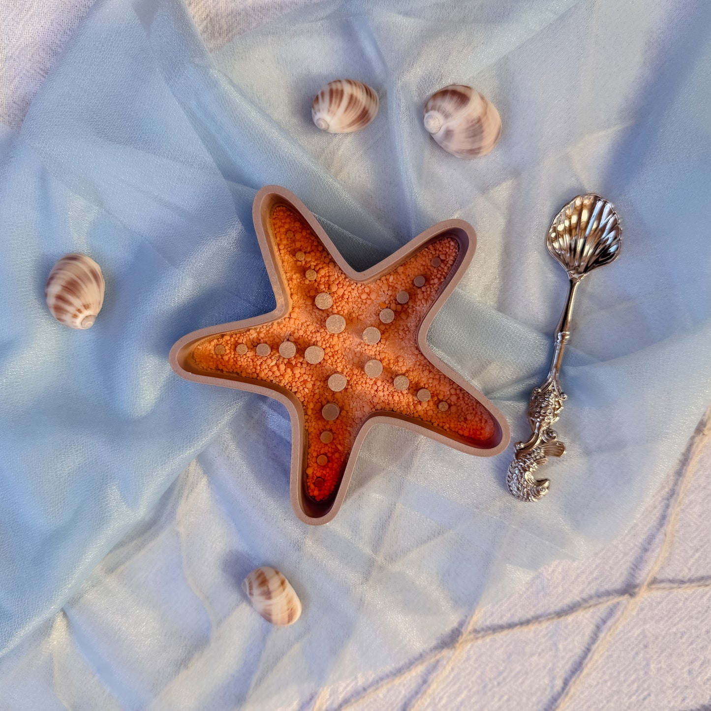 Mini Starfish Tray