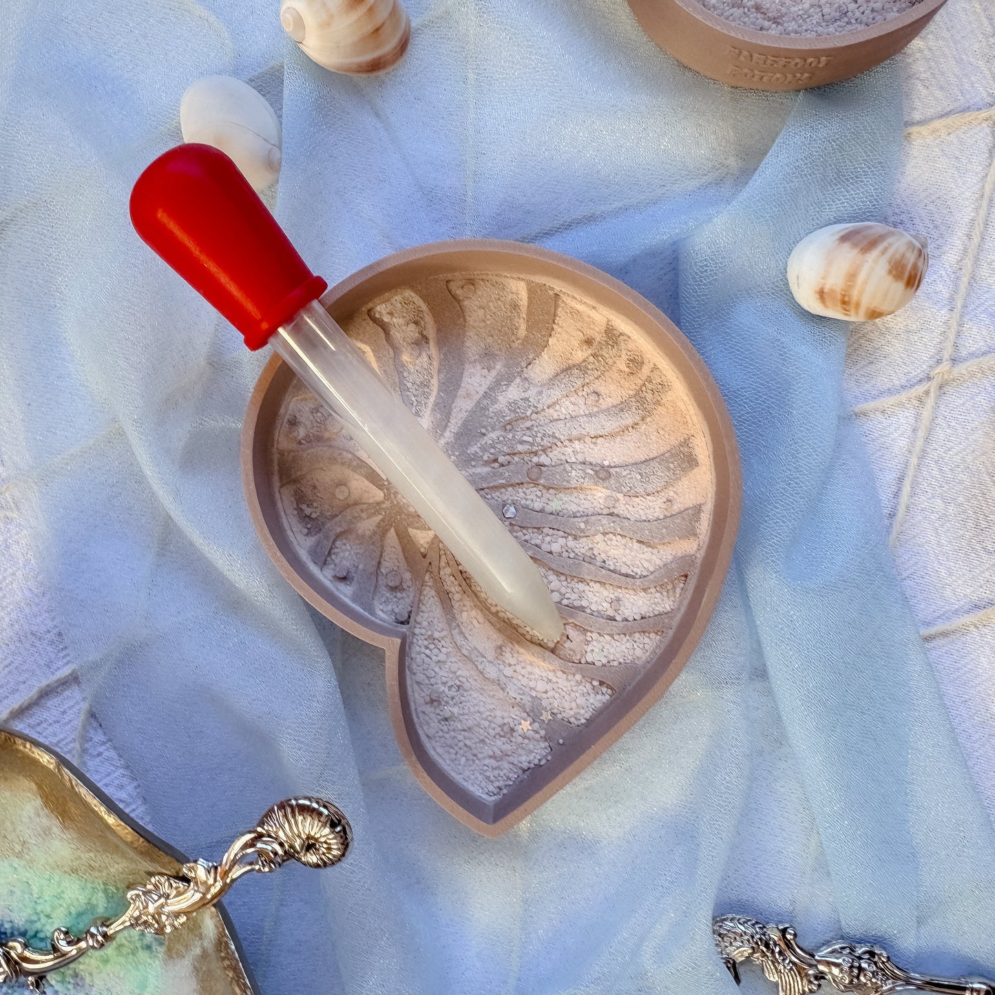 Mini Seashell Tray Trio